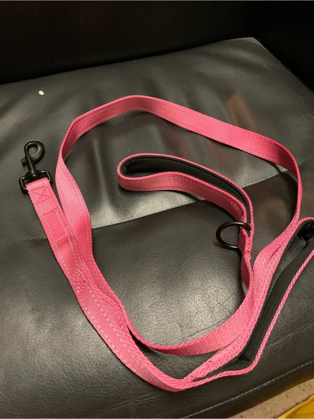 Pink Dog Leash with Padded Handle